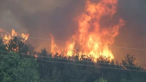 Europe Faces Devastating Wildfires Amidst Extreme Climate Challenges and Record Temperatures - image 1
