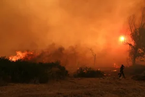 Europe Faces Devastating Wildfires Amidst Extreme Climate Challenges and Record Temperatures - image 9