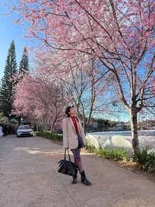 Celebrity Life Updates: Health Awareness and Beautiful Motherhood Journeys - image 7