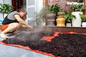Phu Thuong Sticky Rice Wine: Traditional Preparations for Dragon Boat Festival - image 18