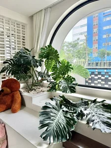 Inside Actress Van Trang's Stunning 1,000-Square-Meter Eco-Friendly Green Villa - image 6