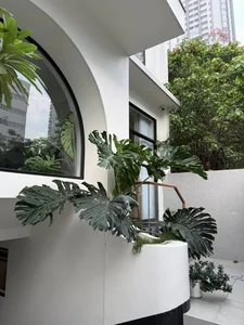 Inside Actress Van Trang's Stunning 1,000-Square-Meter Eco-Friendly Green Villa - image 2