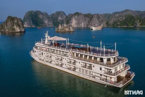 Experiencing Luxury: A 2-Day 1-Night 5-Star Cruise in Lan Ha Bay - image 17