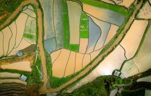 Breathtaking Views: Discovering the Magic of Mu Cang Chai's Water Season - image 7