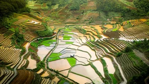 Breathtaking Views: Discovering the Magic of Mu Cang Chai's Water Season - image 0