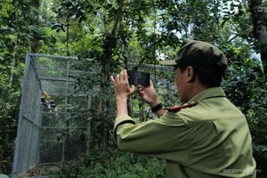 Inside the Largest Wildlife Rescue and Rehabilitation Center in Central Vietnam - image 6