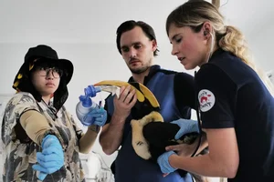 Inside the Largest Wildlife Rescue and Rehabilitation Center in Central Vietnam - image 0