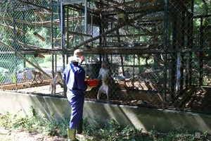 Inside the Largest Wildlife Rescue and Rehabilitation Center in Central Vietnam - image 4