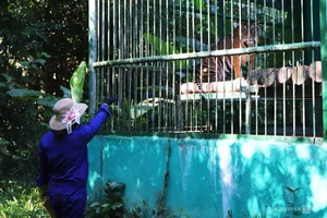 Inside the Largest Wildlife Rescue and Rehabilitation Center in Central Vietnam - image 8