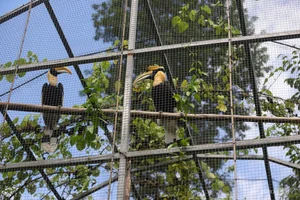Inside the Largest Wildlife Rescue and Rehabilitation Center in Central Vietnam - image 2