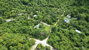 Inside the Largest Wildlife Rescue and Rehabilitation Center in Central Vietnam - image 3