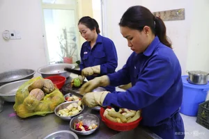 Inside the Largest Wildlife Rescue and Rehabilitation Center in Central Vietnam - image 9