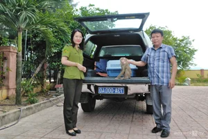 Inside the Largest Wildlife Rescue and Rehabilitation Center in Central Vietnam - image 10