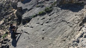 Discovery of 78,000-Year-Old Footprints Reveals Ancient Human Secrets - image 3