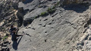 Discovery of 78,000-Year-Old Footprints Reveals Ancient Human Secrets - image 1