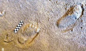Discovery of 78,000-Year-Old Footprints Reveals Ancient Human Secrets - image 4