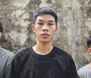 HCMC Police Prosecute 250 Suspects Following Major Bar Raids - image 3