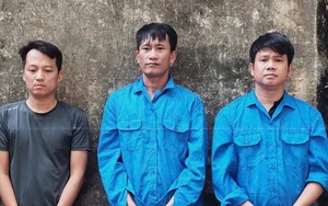 HCMC Police Prosecute 250 Suspects Following Major Bar Raids - image 2