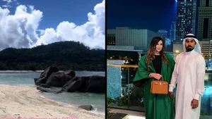 Who Is the Tycoon Who Bought an Island for His Wife's Privacy? - image 6