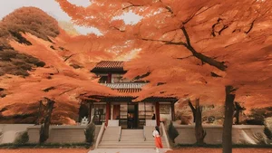 Ultimate Collection of High Quality South Korea Travel and Lifestyle Images - image 27