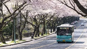 Ultimate Collection of High Quality South Korea Travel and Lifestyle Images - image 39