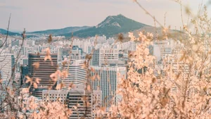 Ultimate Collection of High Quality South Korea Travel and Lifestyle Images - image 20