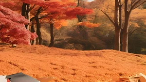 Ultimate Collection of High Quality South Korea Travel and Lifestyle Images - image 29