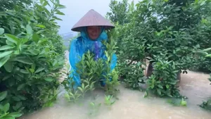 Hanoi Residents Face Unprecedented Flooding Not Seen in 20 Years - image 9