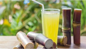 15 Refreshing Cooling Dishes and Hydrating Foods to Beat the Summer Heat - image 1