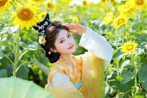 YiTuYu Art Language Vol.9589 Dai Dai Bu Xiang Fei Gallery - image 5