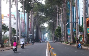 Discover the Rare and Peaceful Beauty of Ho Chi Minh City on New Year's Day - image 5
