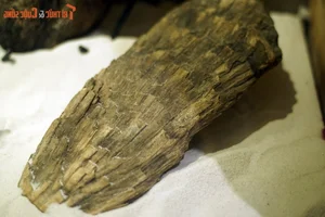 Exploring the Largest Fossil Mine in Southeast Asia Discovered in Lang Son Vietnam - image 7