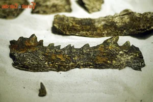 Exploring the Largest Fossil Mine in Southeast Asia Discovered in Lang Son Vietnam - image 3