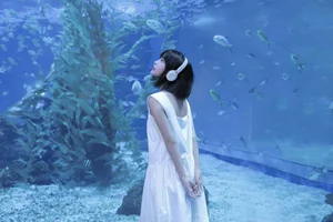 Captivating Visuals: YiTuYu Art Language Vol.5953 with Xiao Lang Ye - image 0
