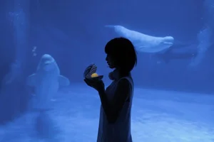 Captivating Visuals: YiTuYu Art Language Vol.5953 with Xiao Lang Ye - image 7