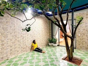 Inside the Humble and Modern Home of Miss Universe Vietnam H'Hen Niê - image 3