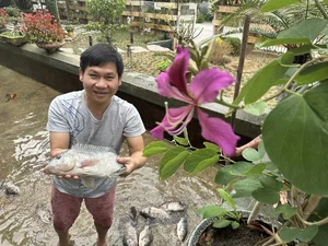Inside Singer Trong Tan's Peaceful Countryside Garden Home in Thanh Hoa - image 3