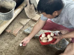 Inside Singer Trong Tan's Peaceful Countryside Garden Home in Thanh Hoa - image 2
