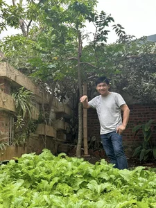 Inside Singer Trong Tan's Peaceful Countryside Garden Home in Thanh Hoa - image 1