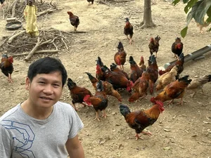 Inside Singer Trong Tan's Peaceful Countryside Garden Home in Thanh Hoa - image 5