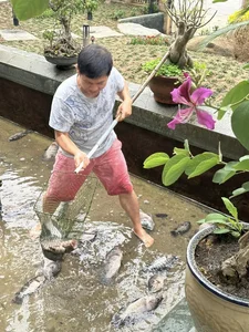 Inside Singer Trong Tan's Peaceful Countryside Garden Home in Thanh Hoa - image 7
