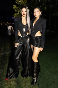 Nha Phuong Radiates Elegance at Seven Months Pregnant Alongside Stunning Stars - image 5