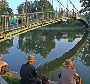 Rare Vintage Photos of Everyday Life in Pyongyang from Years Ago - image 10
