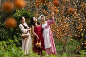 Best Places to Visit in Vietnam: Top Early-Year Travel Destinations You Cannot Miss - image 5