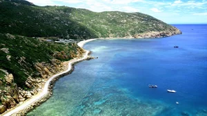 Camping at Bai Thung: A Guide to the Pristine Coastal Paradise for Nature Lovers - image 12