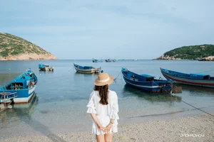 Camping at Bai Thung: A Guide to the Pristine Coastal Paradise for Nature Lovers - image 11
