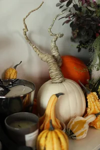 Hanoi Mom Spends Millions on Professional Halloween Decor for Home Party - image 1