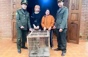 Rare and Valuable Stray Animals Found in Vietnam: Wildlife Preservation - image 5