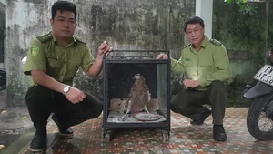 Rare and Valuable Stray Animals Found in Vietnam: Wildlife Preservation - image 3