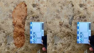 Ancient Roman Footprints Discovered on a Remote Scottish Beach - image 3